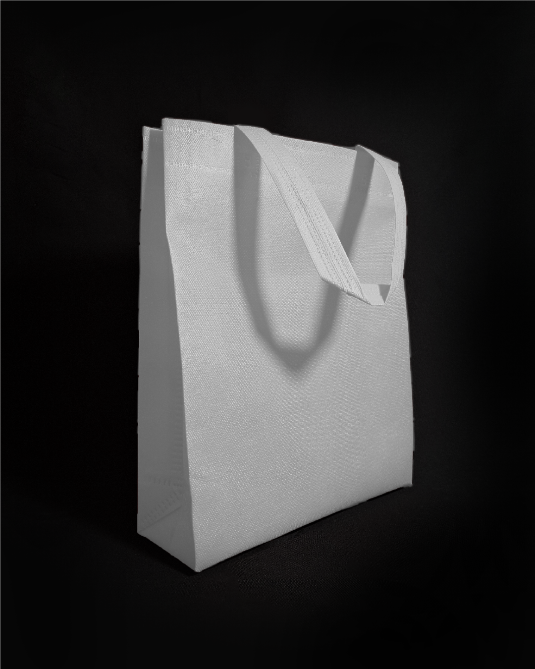 Bolsa TNT 25x30x8 cm - Gramaje 80